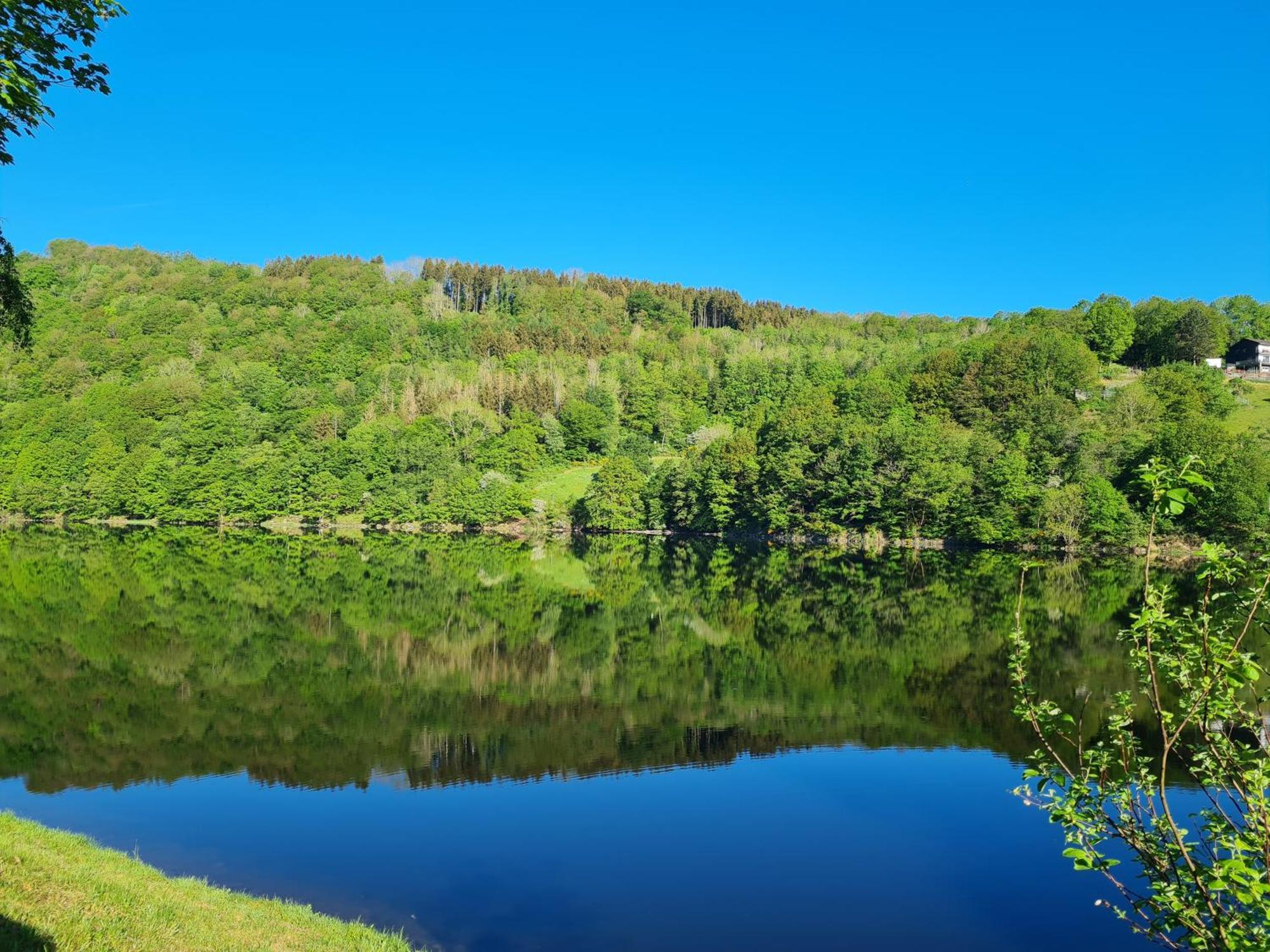 Ferienwohnung Am Rursee -Wohnung 2 Simmerath Bagian luar foto